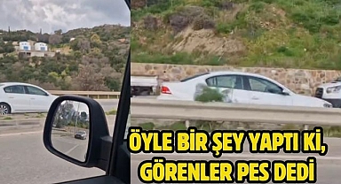 Öyle bir şey Yaptı ki, Görenler Pes Dedi 