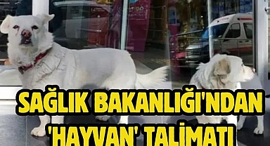 Sağlık Bakanlığı'ndan 'hayvan' talimatı