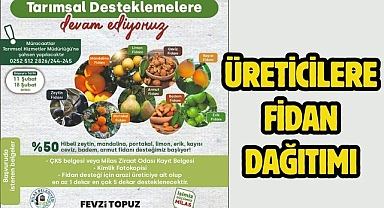 ÜRETİCİLERE FİDAN DAĞITIMI GERÇEKLEŞTİRİLECEK