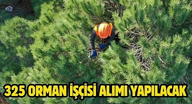 325 Orman İşçisi Alımı Yapılacak 