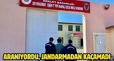 ARANIYORDU, JANDARMADAN KAÇAMADI