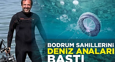 BODRUM SAHİLLERİNİ DENİZ ANALARI BASTI
