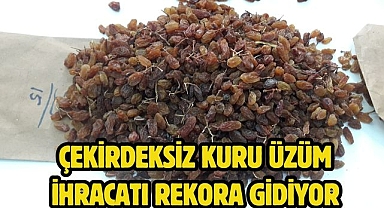 Çekirdeksiz kuru üzüm ihracatı rekora gidiyor