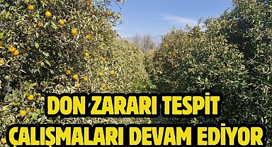Don Zararı Tespit Çalışmaları Devam Ediyor
