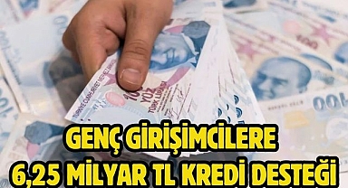 Genç girişimcilere 6,25 milyar TL kredi desteği