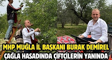 MHP Muğla İl Başkanı Burak Demirel Çağla Hasadında Çiftçilerin Yanında