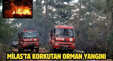 Milas’ta korkutan orman yangını