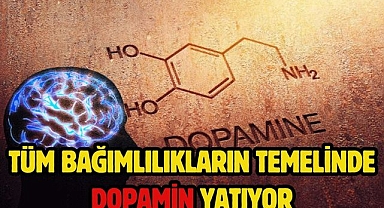 Tüm bağımlılıkların temelinde dopamin yatıyor