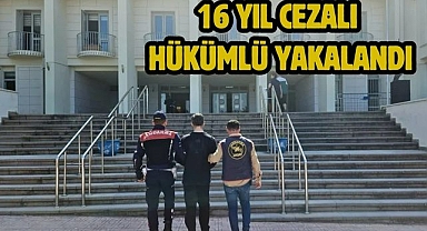 16 Yıl Cezalı Hükümlü Yakalandı