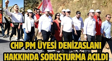 CHP PM üyesi Denizaslanı hakkında soruşturma açıldı