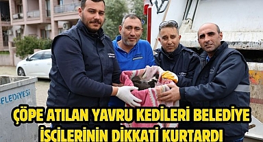 ÇÖPE ATILAN YAVRU KEDİLERİ BELEDİYE İŞÇİLERİNİN DİKKATİ KURTARDI 