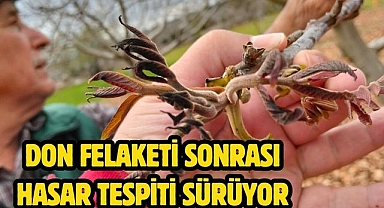 Don Felaketi Sonrası Hasar Tespiti Sürüyor 