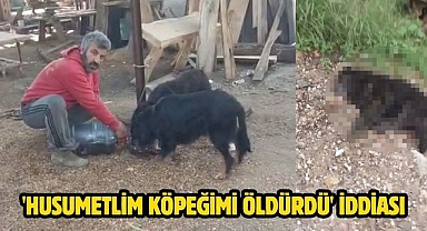 'Husumetlim Köpeğimi Öldürdü' İddiası