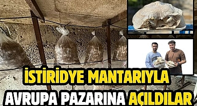 İstiridye Mantarıyla Avrupa Pazarına Açıldılar