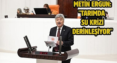 Metin Ergun: 