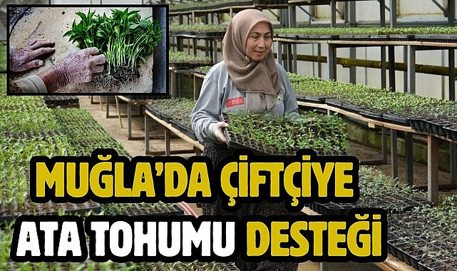 Muğla'da Çiftçiye Ata Tohumu Desteği
