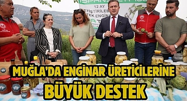 Muğla’da Enginar Üreticilerine Büyük Destek