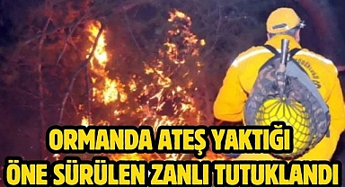 Ormanda ateş yaktığı öne sürülen zanlı tutuklandı