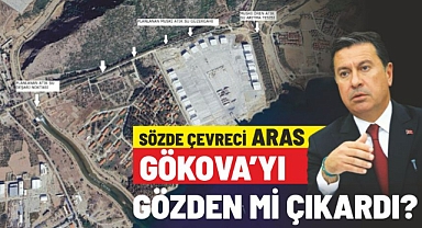 Sözde Çevreci Ahmet Aras Gökova’yı gözden mi çıkardı?