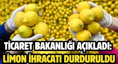 Ticaret Bakanlığı Açıkladı: Limon İhracatı Durduruldu