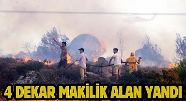 4 Dekar makilik alan yandı
