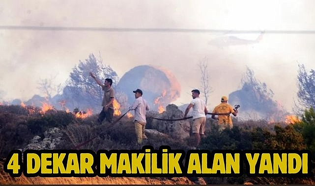 4 Dekar makilik alan yandı