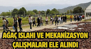 Ağaç ıslahı ve mekanizasyon çalışmaları ele alındı