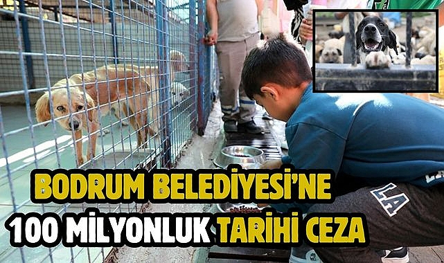 Bodrum Belediyesi’ne 100 milyonluk tarihi ceza