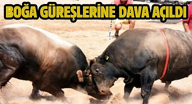 Boğa güreşlerine dava açıldı