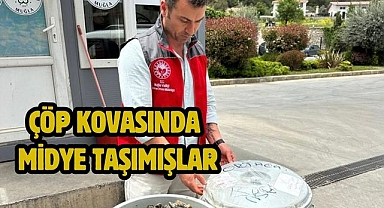 Çöp kovasında midye taşımışlar