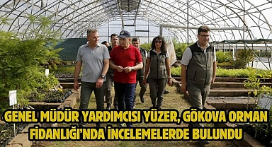 Genel Müdür Yardımcısı Yüzer, Gökova Orman Fidanlığı’nda İncelemelerde Bulundu