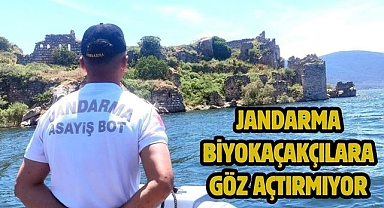 Jandarma Biyokaçakçılara Göz Açtırmıyor