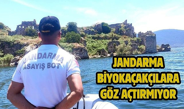 Jandarma Biyokaçakçılara Göz Açtırmıyor