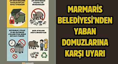 MARMARİS BELEDİYESİ’NDEN YABAN DOMUZLARINA KARŞI UYARI