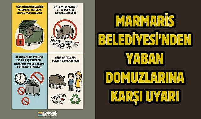 MARMARİS BELEDİYESİ'NDEN YABAN DOMUZLARINA KARŞI UYARI