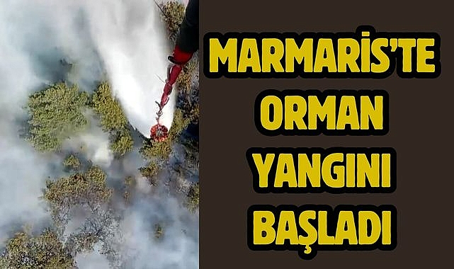 Marmaris'te orman yangını başladı