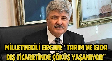 Milletvekili Ergun: 