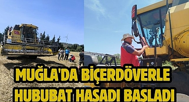 Muğla'da Biçerdöverle Hububat Hasadı Başladı