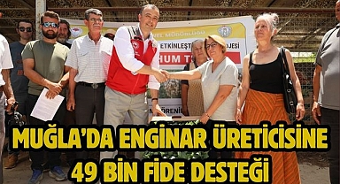 Muğla’da Enginar Üreticisine 49 Bin Fide Desteği