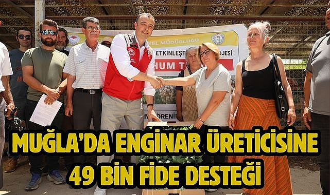 Muğla'da Enginar Üreticisine 49 Bin Fide Desteği