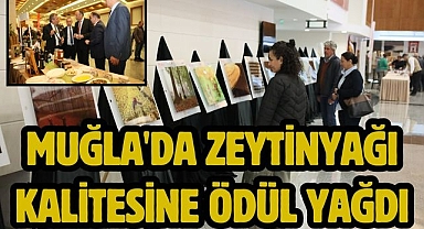Muğla'da Zeytinyağı Kalitesine Ödül Yağdı