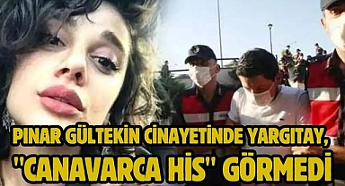 Pınar Gültekin Cinayetinde Yargıtay, 