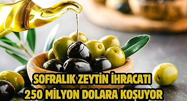 Sofralık zeytin ihracatı 250 milyon dolara koşuyor