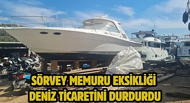 Sörvey Memuru Eksikliği Deniz Ticaretini Durdurdu
