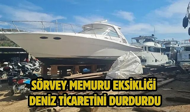 Sörvey Memuru Eksikliği Deniz Ticaretini Durdurdu