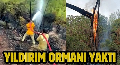 Yıldırım ormanı yaktı
