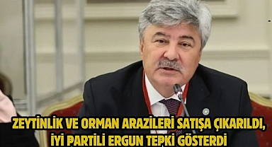 Zeytinlik ve Orman Arazileri Satışa Çıkarıldı, İYİ Partili Ergun Tepki Gösterdi