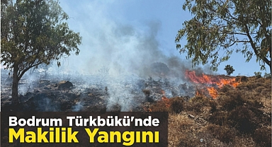Bodrum Türkbükü’nde Makilik Yangını
