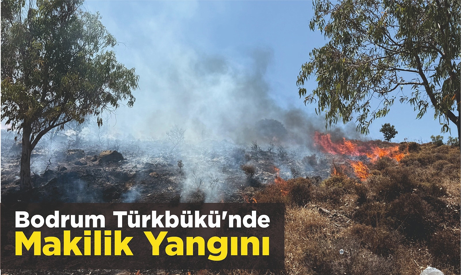 Bodrum Türkbükü’nde Makilik Yangını