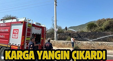 Karga Yangın Çıkardı 